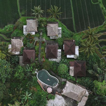 فيلا Tirta Sari Tampaksiring المظهر الخارجي الصورة