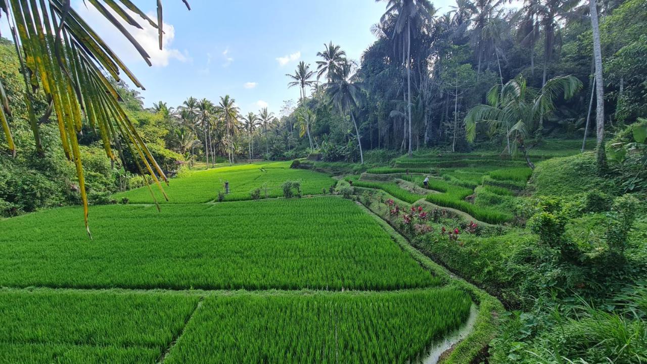 فيلا Tirta Sari Tampaksiring المظهر الخارجي الصورة