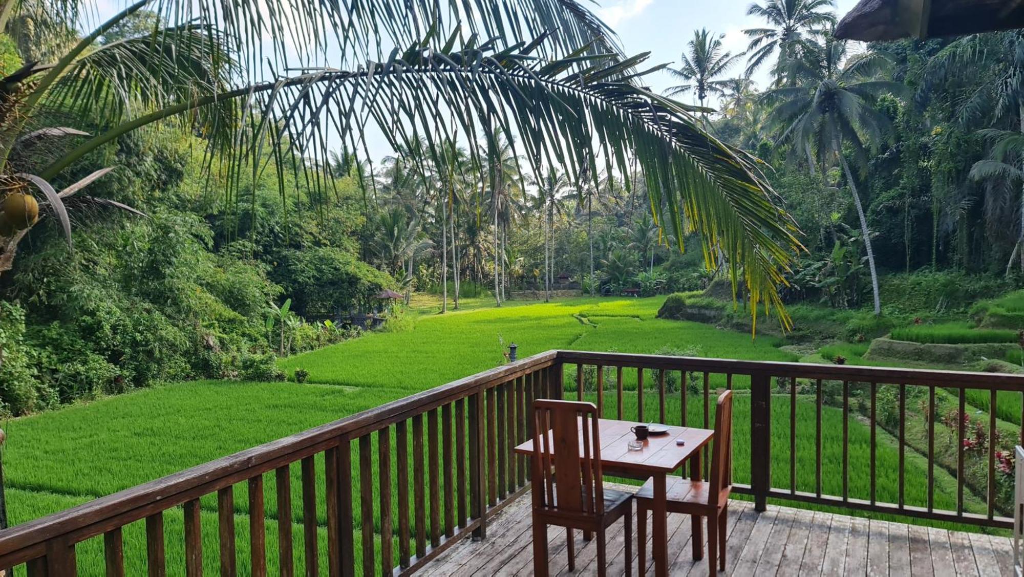 فيلا Tirta Sari Tampaksiring المظهر الخارجي الصورة